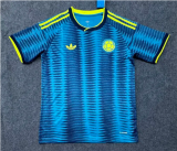 Players Version | 2026 Colombia World Cup Away Man Jersey