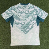 Fan Version |  2026 Portugal World Cup Away Man Jersey