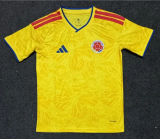 Fan Version | 2026 Colombia World Cup Home Man Jersey