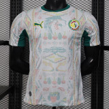 Player Version | 2026 Senegal World Cup Home Jersey