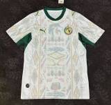Fan Version | 2026 Senegal World Cup Home Jersey