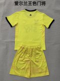 2026 Ireland Goalkeeper Adult Uniform