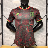 2026 Mexico Special Edition Man Jersey | Players Version
