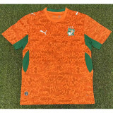 Fan Version |  2026 Cote d Ivoire Home