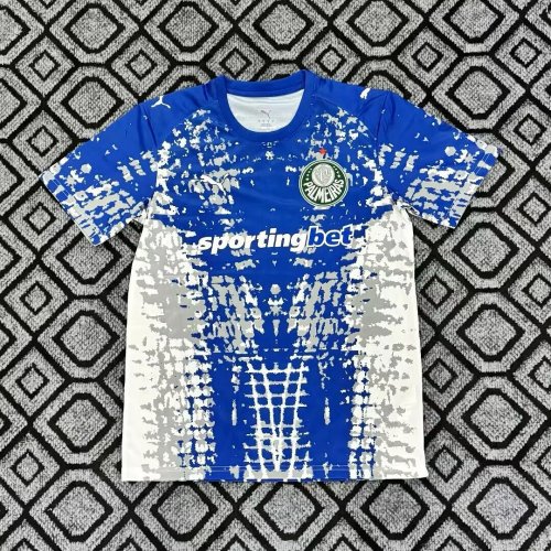 26/27 Palmeiras Goalkeeper Man Jersey| Fan Version