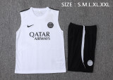26/27 PARIS/PSG Training  Adult Vest Set