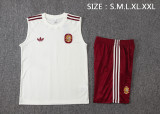 26/27 Spain Adult Training Vest Set