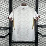 2026 Mexico Special Edition Men Jersey | Fan Version