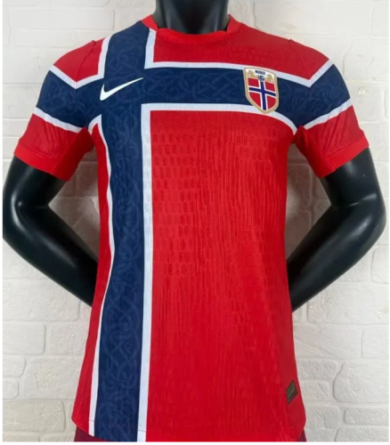 Player Version|  2026 Norway World Cup Home Man Jersey