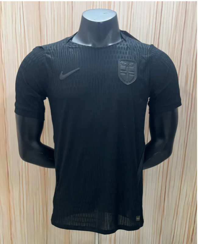 Player Version | 2026 Norway World Cup Away Man Jersey