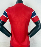 Player Version|  2026 Norway World Cup Home Man Jersey