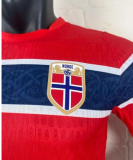 Player Version|  2026 Norway World Cup Home Man Jersey