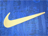 26/27 PARIS/PSG Special Edition Jersey | Player Version