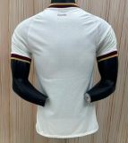 Player Version |  2026 Spain World Cup Away 2-Star Champion Edition Man Jersey