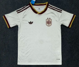 Fan Version | 2026 Spain World Cup Away 2-Star Champion Edition Man Jersey