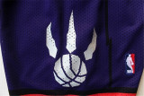 Toronto Raptors 猛龙队 复古大龙球裤 紫色 极品网眼