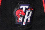 Toronto Raptors 猛龙队 复古大龙球裤 紫色 极品网眼