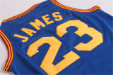 Cleveland Cavaliers 骑士队 23号 詹姆斯 复古大刀蓝 极品网眼球衣