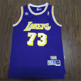 Los Angeles Lakers 湖人 73号 罗德曼 复古紫色