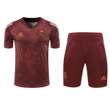 20-21 Real Madrid (Training clothes) Set.Jersey & Short High Quality
