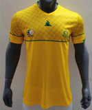 2020 South Africa home Fans Version Thailand Quality