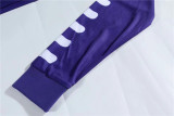 1998-1999 Fiorentina home Long sleeve Retro Jersey Thailand Quality