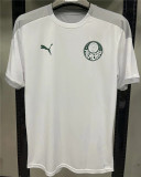 21-22 SE Palmeiras ( Training clothes) Fans Version Thailand Quality