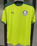 21-22 SE Palmeiras ( Training clothes) Fans Version Thailand Quality