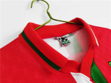 1996-1998 Wales home Retro Jersey Thailand Quality