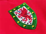 1970 Wales home Retro Jersey Thailand Quality