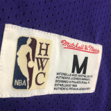 Los Angeles Lakers  Mitchellness 湖人队 紫色 32号 约翰逊 复古网眼短袖