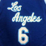 Los Angeles Lakers  湖人队拉丁之夜（高头）蓝色 6号 詹姆斯