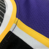Los Angeles Lakers  湖人队 圆领紫色（飞人款） 4号 朗多