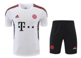 21-22 Bayern München (Training clothes) Set.Jersey & Short High Quality