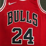 Chicago Bulls NBA 75周年 公牛队 红色 24号 马尔卡宁