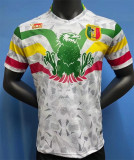 2021 République du Mali Away Fans Version Thailand Quality