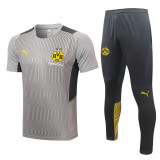 21-22 Borussia Dortmund (grey) Polo Jersey Thailand Quality seit