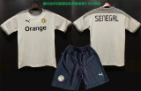 2022 Senegal (Training clothes) Adult Jersey & Short Set Quality