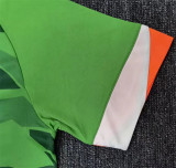 2022 Ireland home Fans Version Thailand Quality
