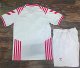 2022 Denmark (Special Edition) Adult Jersey & Short Set Quality