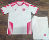 2022 Denmark (Special Edition) Adult Jersey & Short Set Quality