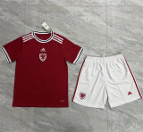 2022 Wales home Adult Jersey & Short Set Quality