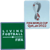 2022 FIFA WORLD CUP