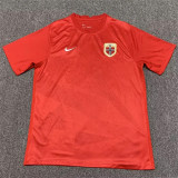 2022 Norway home Fans Version Thailand Quality