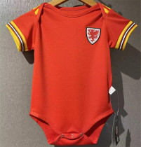 2022 Wales home baby Thailand Quality Soccer Jersey