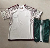 WORLD CUP Kids kit 2022 Mexico Away Thailand Quality