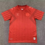 WORLD CUP 2022 Denmark home Fans Version Thailand Quality