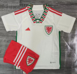 Kids kit 2022 Wales Away Thailand Quality