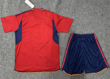 2022 Spain home Adult Jersey & Short Set Quality