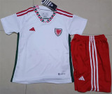 Kids kit 2022 Wales Away Thailand Quality